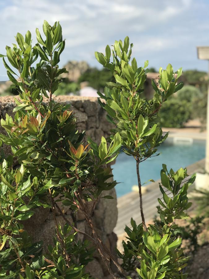 Hotel Les Chambres De Mila Bonifacio Bonifacio  Dış mekan fotoğraf